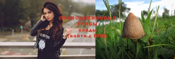 ПСИЛОЦИБИНОВЫЕ ГРИБЫ Алексин