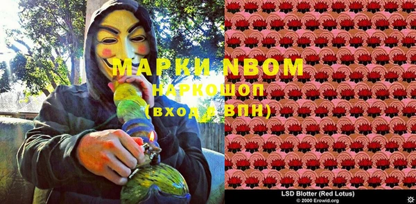 ПСИЛОЦИБИНОВЫЕ ГРИБЫ Алексин