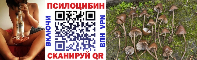 кракен tor  Ростов  Псилоцибиновые грибы MAGIC MUSHROOMS 